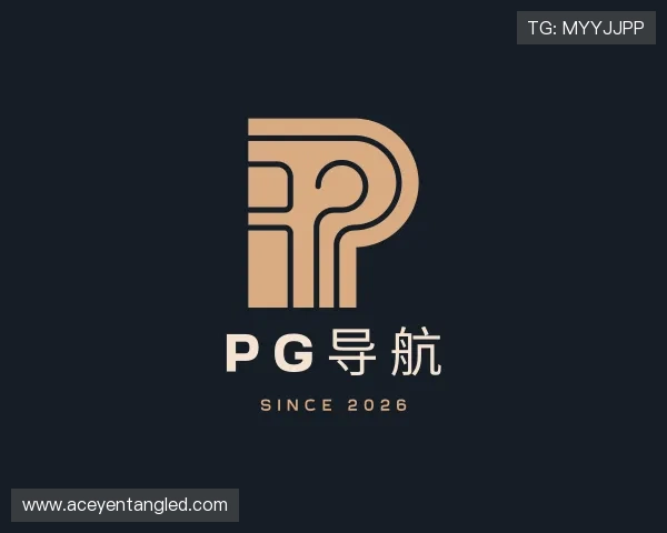 关于pg导航 关于pg导航